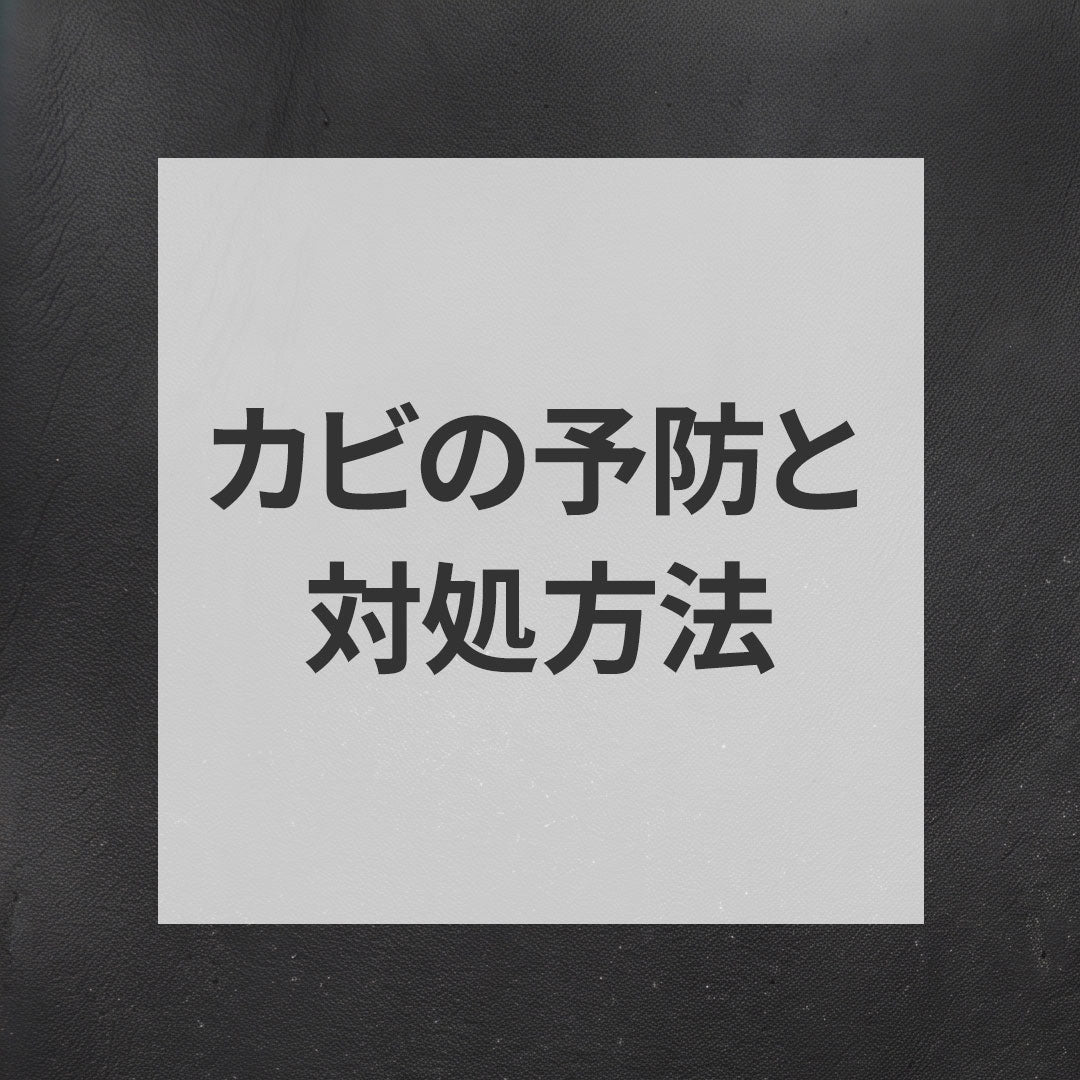革製品のカビ予防と対処方法