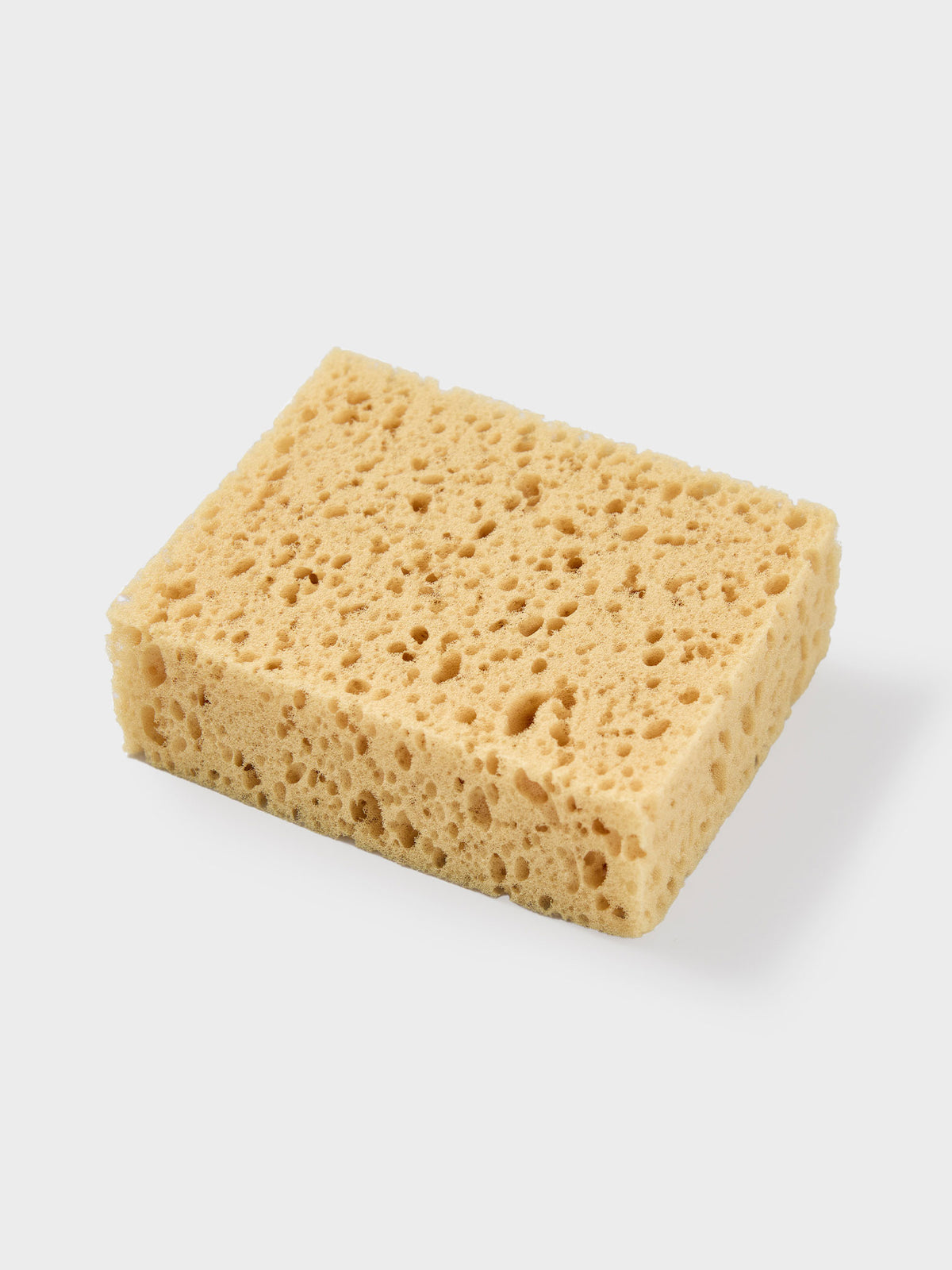 Cleaning Sponge