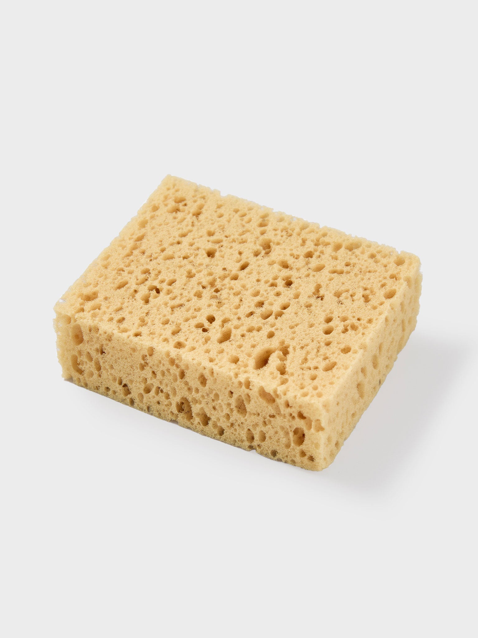 スポンジ