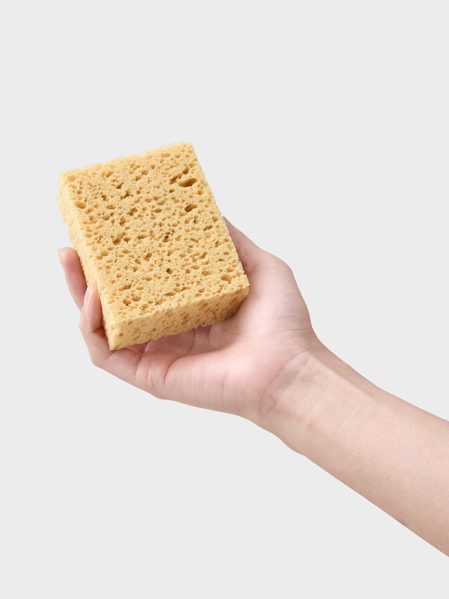 スポンジ