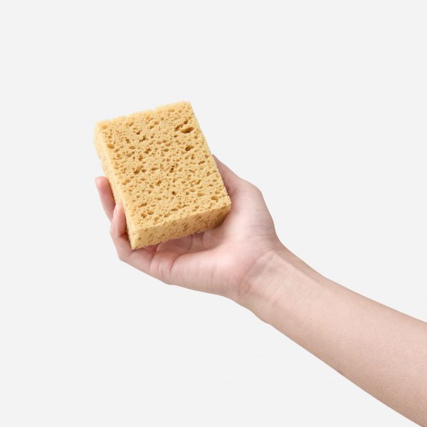 スポンジ